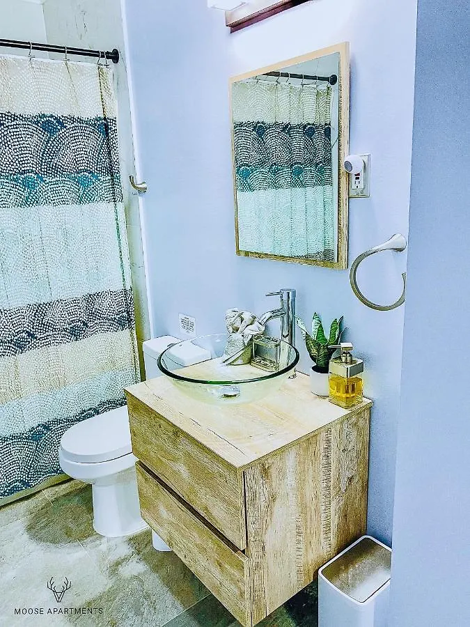 The Moose #3 - Modern Luxe Studio With Free Gated Parking & Wifi Memphis USA