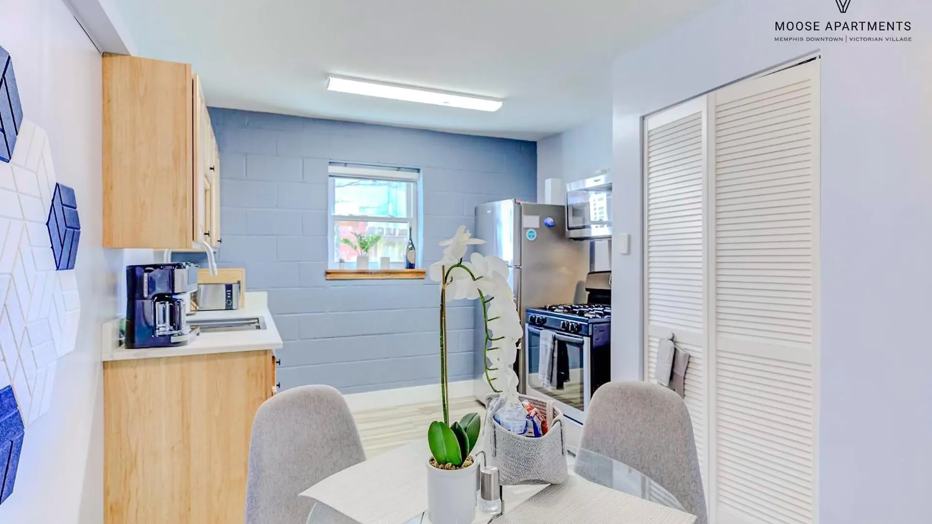 The Moose #3 - Modern Luxe Studio With Free Gated Parking & Wifi Memphis 0*,